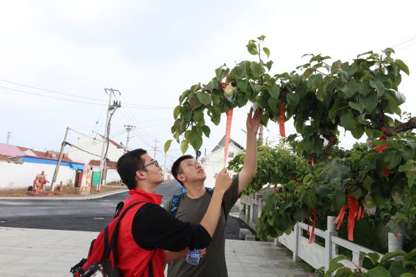 队员们近距离观察梨树(1).jpg