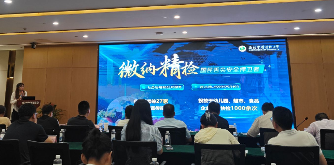 QQ20241219-161648.png