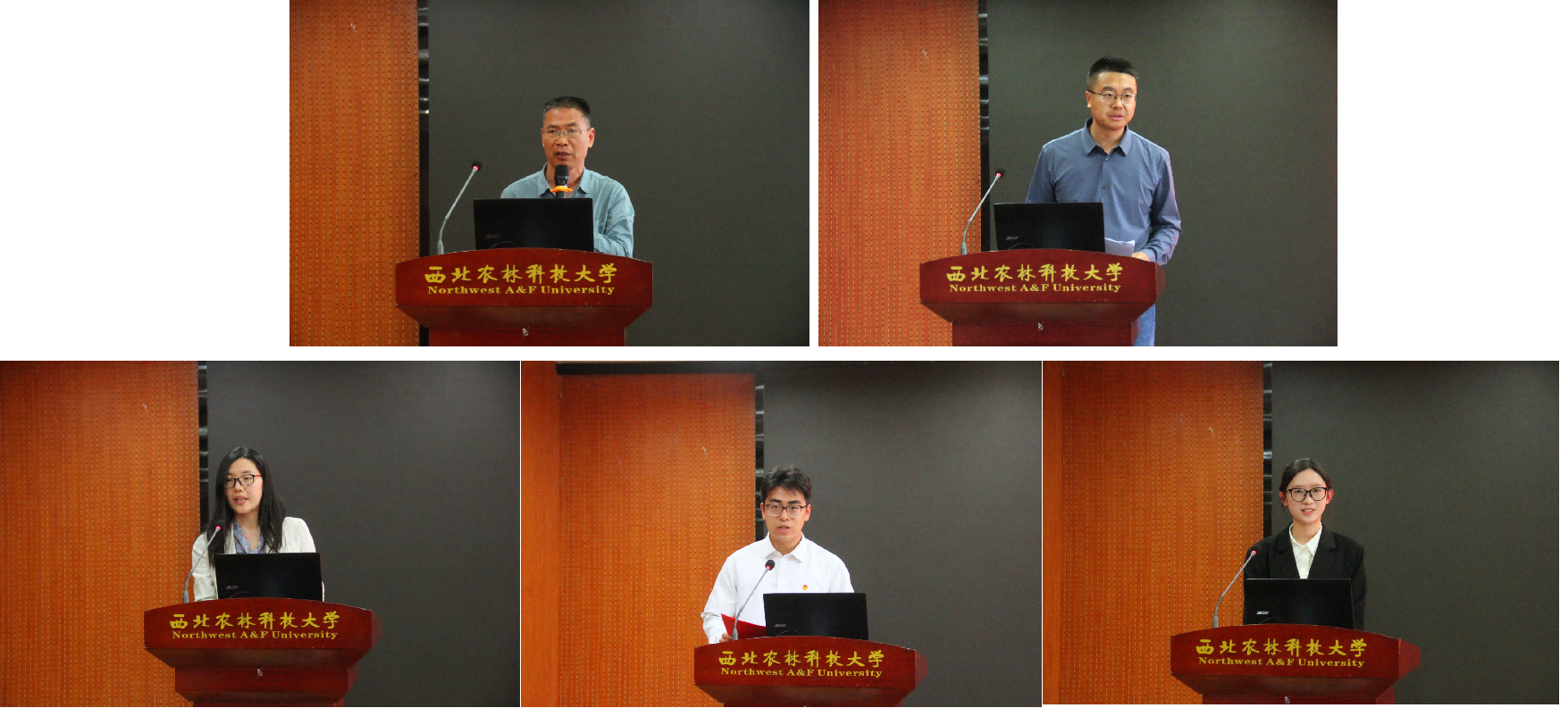 发言.png