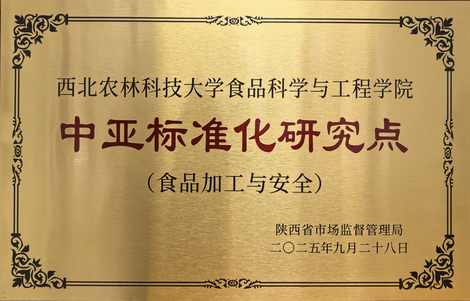 图片.jpg