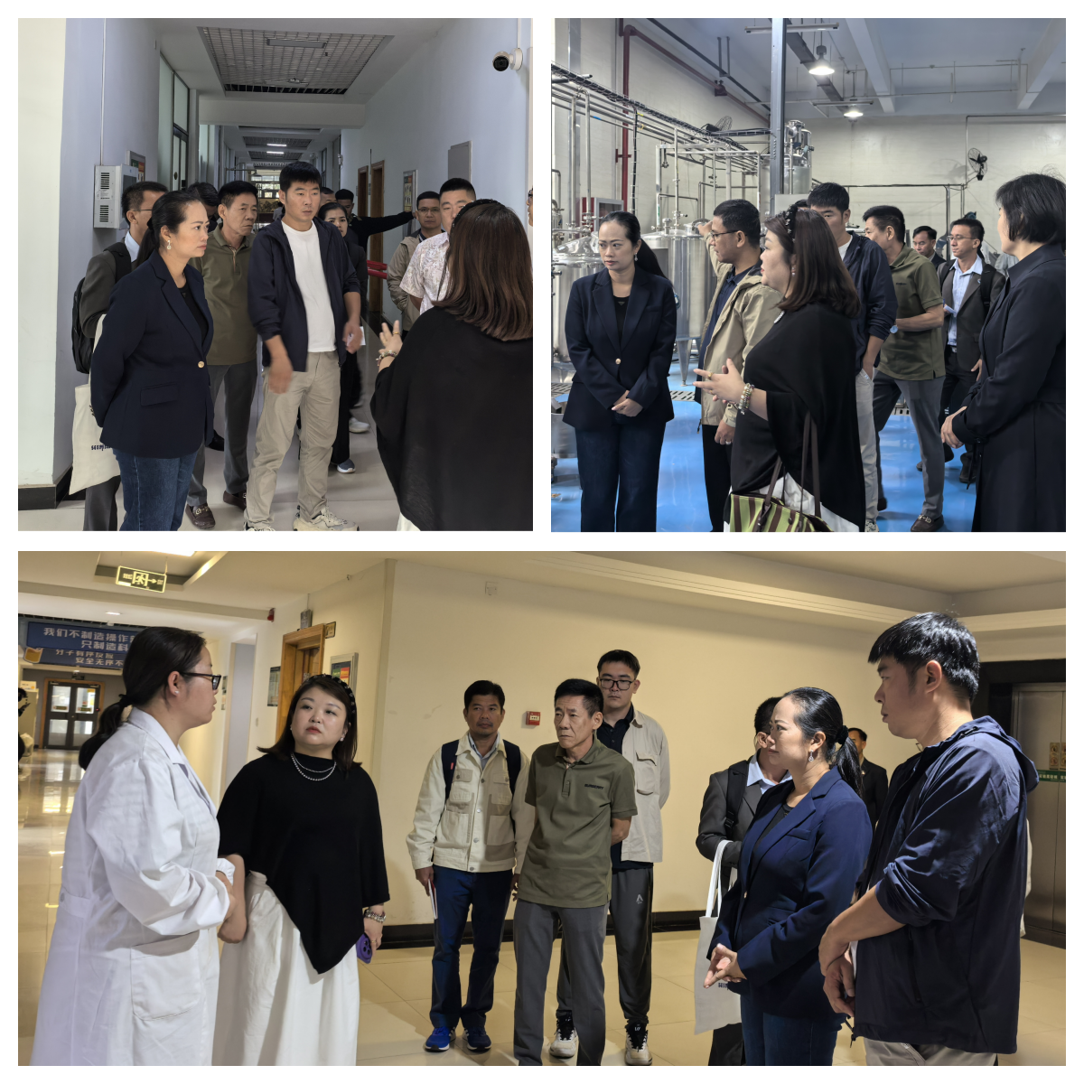 图片1_副本.png