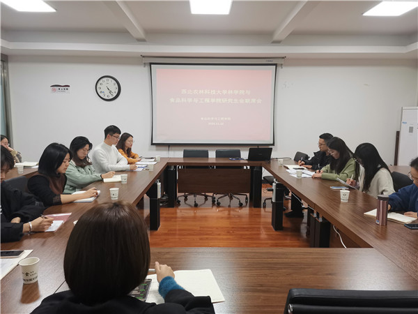 会议进行中.jpg