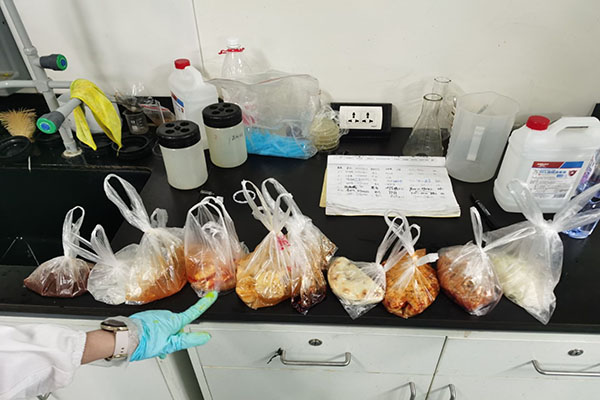 图为所有采集样品的呈现拍摄.jpg