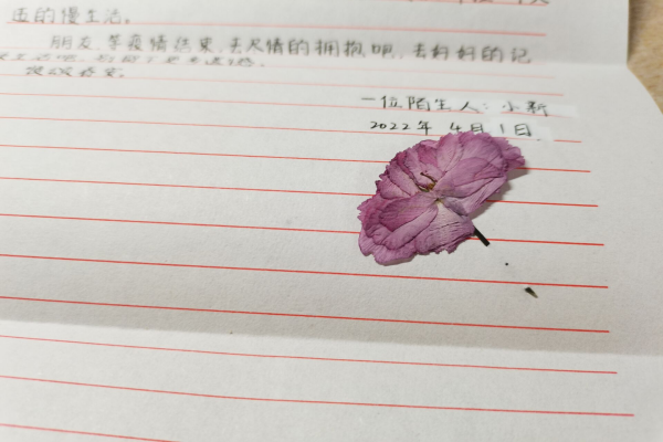 WPS图片-修改尺寸.png