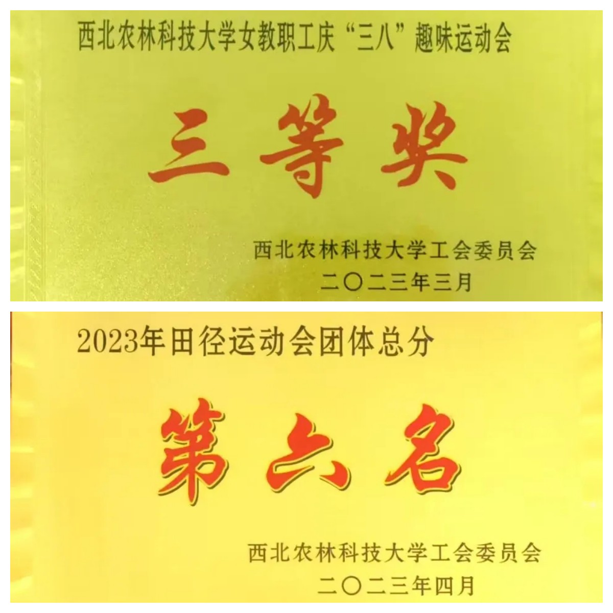 d4ba75c516c1498494309613d89ec542.jpg 未命名.jpg