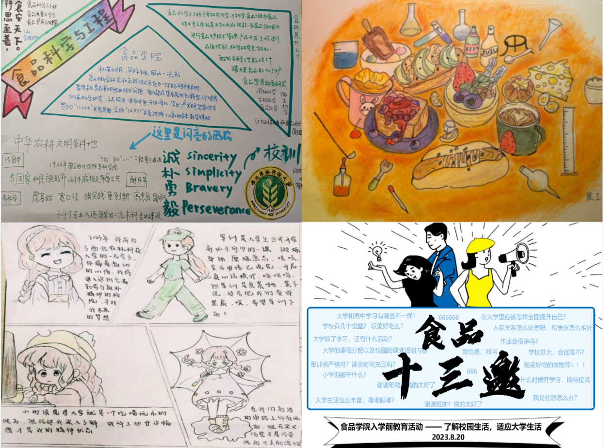 ce9b985796a3496bb250942665412005.png